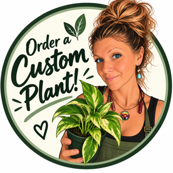 Order a custom plant - Meghan the Plant Momma holding a variegated pothos